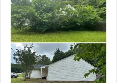 Landscape Company