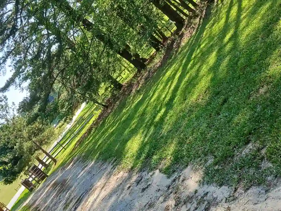Landscape Contractor
