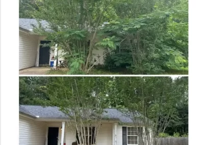 Landscape Maintenance