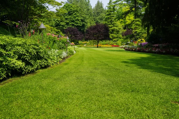 Lawn Mowing Service