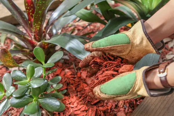 Rose Landscaping's Other Services